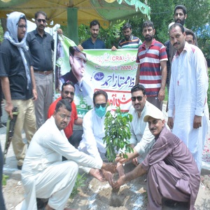 صوبائی وزیرحافظ ممتاز احمد نے سمندری میں پودا لگا کر شجر کاری مہم کا آغاز کردیا 